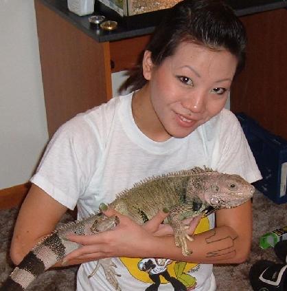 There are still many iguanas in need of a new home