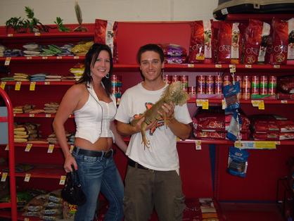 Help a homeless iguana by adopting