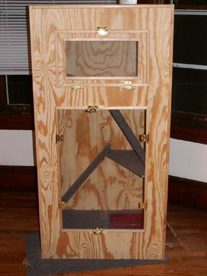 iguana cage