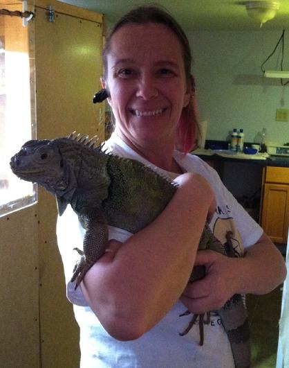adopt an iguana